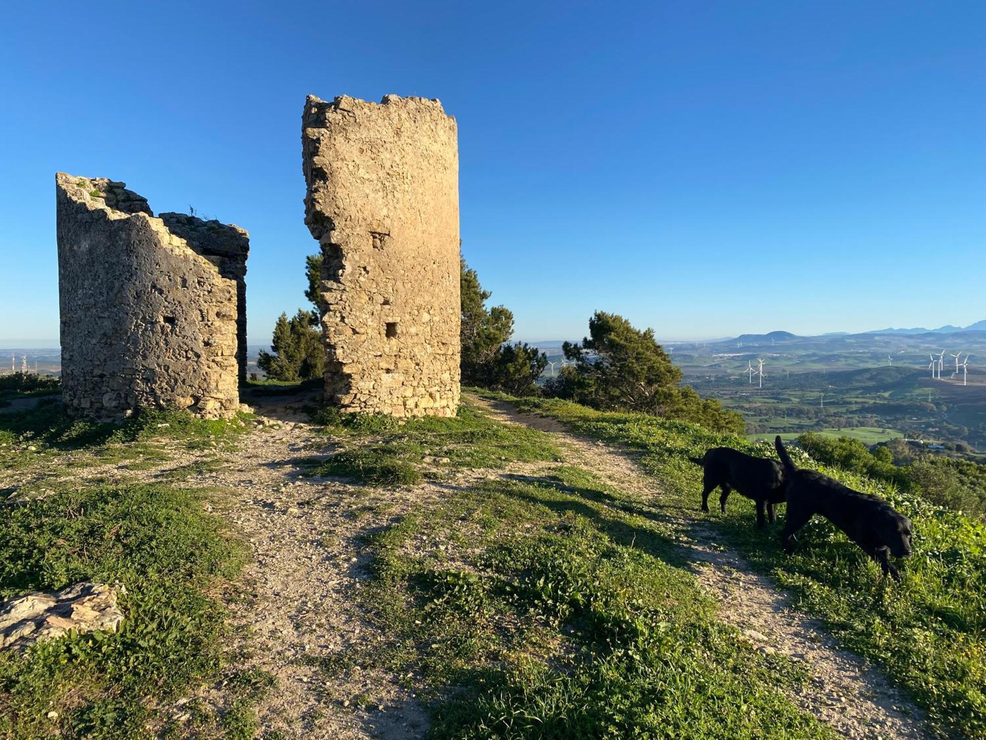 Appartement Casita De La Suerte à Medina-Sidonia Extérieur photo
